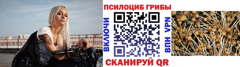 Галлюциногенные грибы MAGIC MUSHROOMS  Арсеньев 